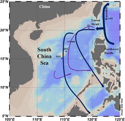 Metagenomic Analysis of the Diversity of DNA Viruses in the Surface and Deep Sea of the South China Sea